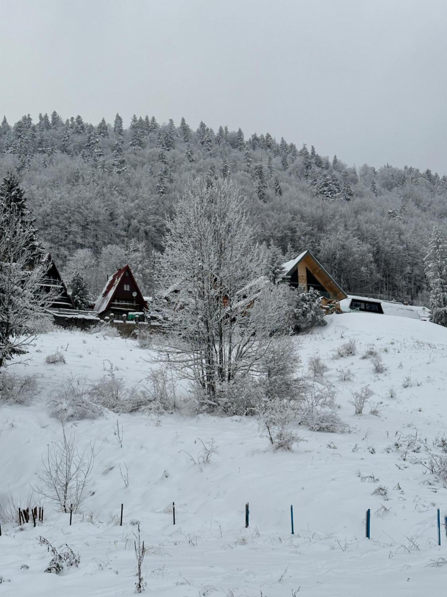 Apartman Forest View Donovaly Luaran gambar